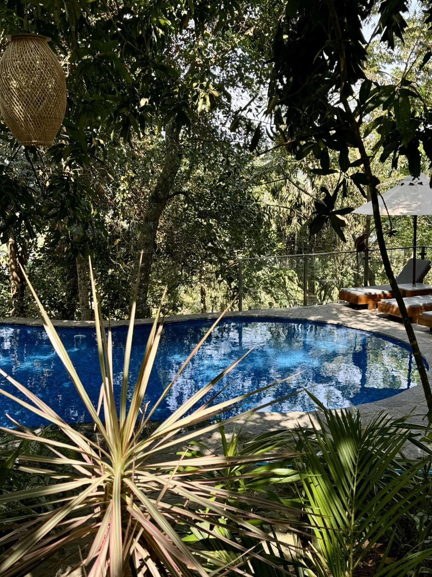 Coastline Mirissa Boutique Hotel And Spa Kültér fotó